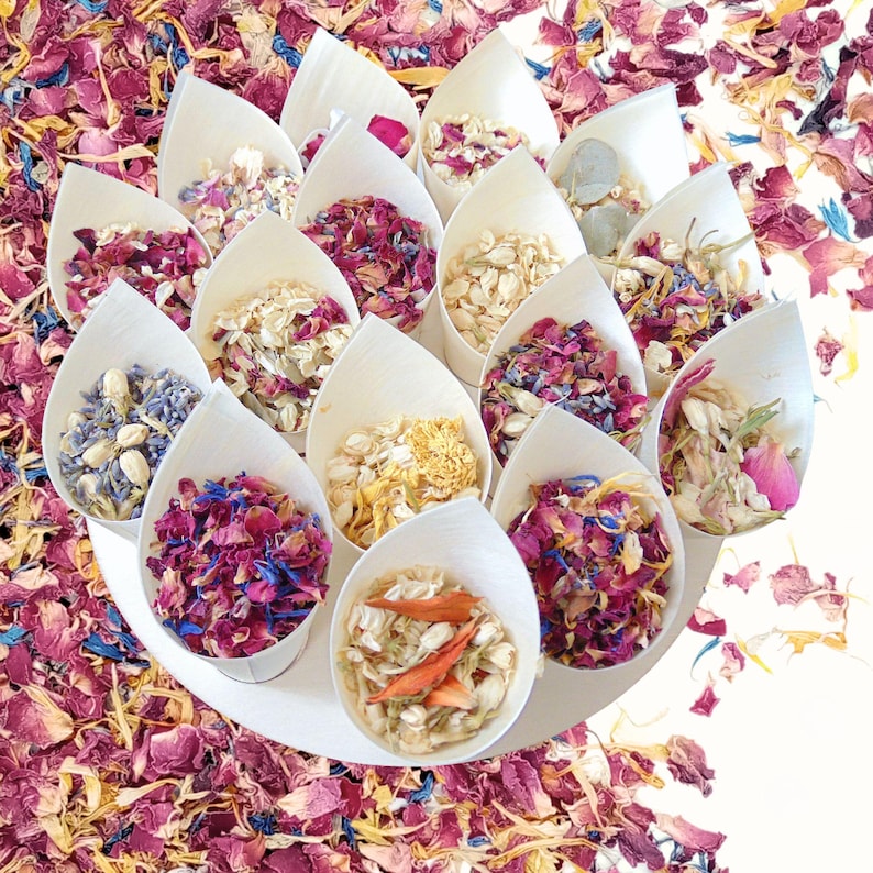 Peut inclure: Assortiment de petits c&ocirc;nes en papier blanc remplis de p&eacute;tales de fleurs s&eacute;ch&eacute;es de diff&eacute;rentes couleurs, notamment rose, violet, jaune et bleu. Les c&ocirc;nes sont dispos&eacute;s en cercle sur une assiette blanche.