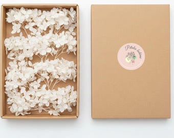 Fleurs d'hortensia stabilisé en brin - Lot de 20 brins blanc d'hortensia séché et éternel | Mariage | Décoration Gâteaux | bijoux résine