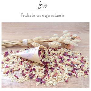 Petits cornets biodégradables avec confettis de fleurs séchées