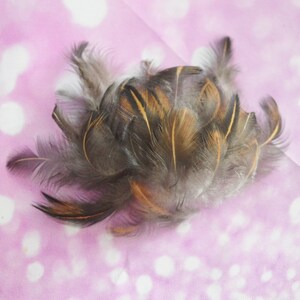 25pcs Wild Form Feathers from Araucana for DIY Crafting - Natural Color - Cruelty Free - WYSIWYG pack