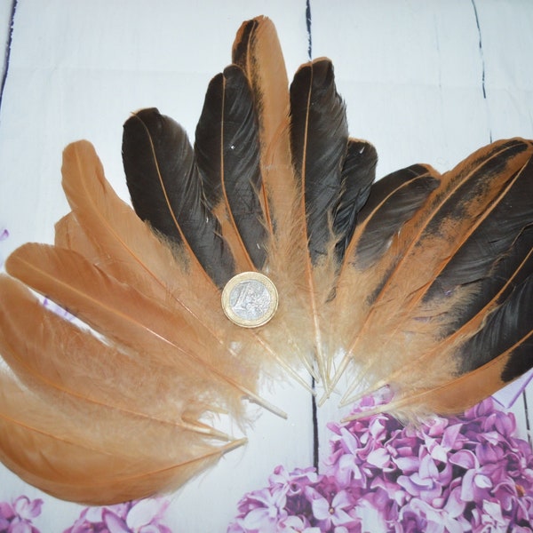 18pcs Long Red & Black Wing Feathers from Calimero for DIY Crafting - Natural Color - Cruelty Free - WYSIWYG