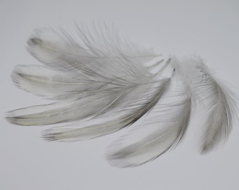 10pcs Long Satin Splash Color Neck Feathers from Rooster Silkies for DIY Crafting - Natural Color - Cruelty Free