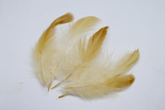 10pcs Small White Feathers From Silkies for DIY Crafting Natural