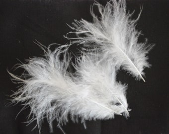 40pcs Small White Fluffy Feathers from Silkies for DIY Crafting - Natural Color - Cruelty Free - WYSIWYG Pack