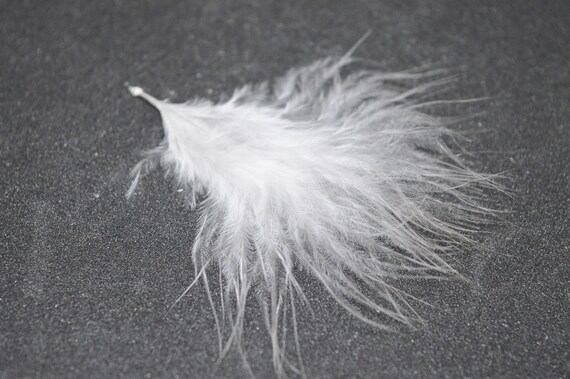 10pcs Small White Feathers From Silkies for DIY Crafting Natural