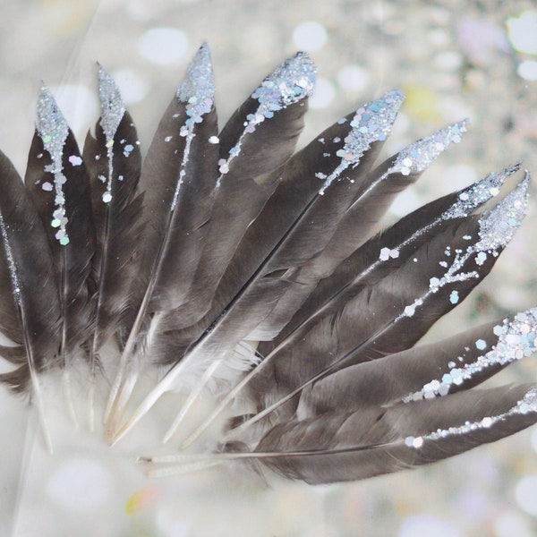 11 Long Feathers w/ Silver Glitter from Grey Cuckoo Hen  for DIY Crafting - Natural Color - Cruelty Free - WYSIWYG pack