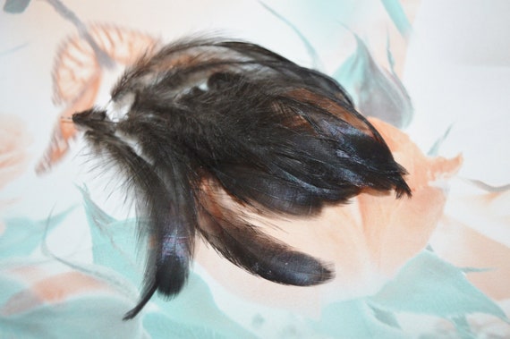10pcs Small White Feathers From Silkies for DIY Crafting Natural White  Cruelty Free 