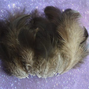 30 + Stück irisierende weiche daunenfarbene Flaumfedern vom schwarzen Kupfer Marans Hahn für DIY Basteln - natürliche Farbe - ohne Tierversuche - WYSIWYG pack