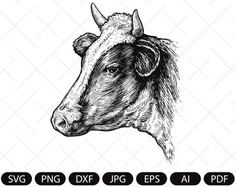 Cow head svg. Vector cow portrait. Dairy farm decor. Vintage engraving SVG