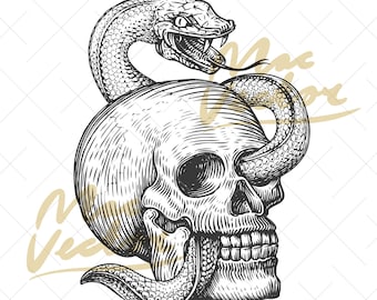 Human Skull and poisonous Snake, vector. Halloween, SVG. Pirate Jolly Roger vintage sketch. Black tattoo clipart, digital graphics