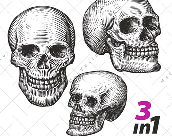 Skull Skeleton vector. SVG Jolly Roger drawn in engraving style. Zombie vintage sketch drawing clipart. Halloween digital illustration