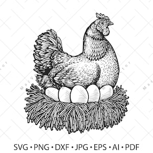 Vector de gallinas y huevos de granja. Gallina ponedora en nido SVG. Pájaro pollo vintage boceto dibujo clipart. Ilustración digital
