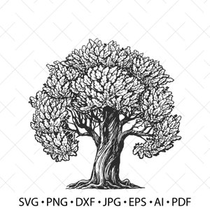 May include: Black and white line drawing of a large tree with a thick trunk and many branches. The tree has a rounded canopy of leaves.