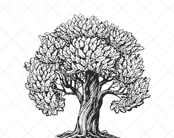Tree of Life vector. Oak tree vintage sketch. Family tree SVG. Wood drawing clipart