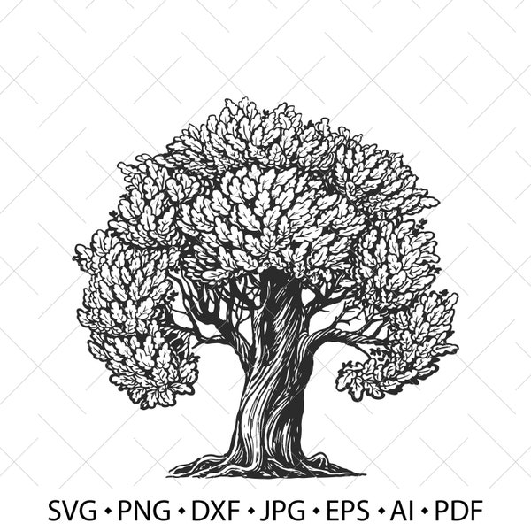 Tree of Life vector. Oak tree vintage sketch. Family tree SVG. Wood drawing clipart