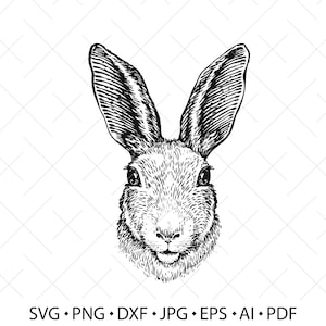 May include: A black and white line drawing of a rabbit's face. The rabbit has large ears and a fluffy nose.