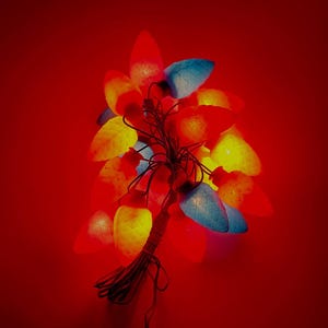 Puede incluir: Un conjunto de luces navideñas vintage en varios colores, incluyendo rojo, amarillo y azul. Las luces están dispuestas en un cable oscuro y sobre un fondo rojo. Las bombillas tienen una forma clásica de lágrima.