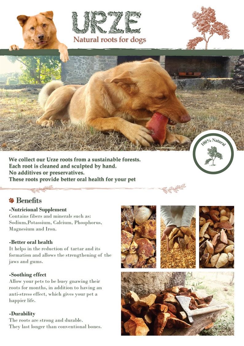 Natural Root Dog Chew Toy – Teething Puppy, Handmade - Etsy