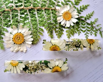 Real Daisy Flower Hairclip: Botanical Resin Barrette