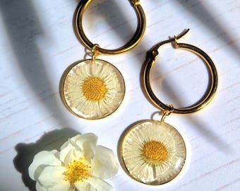Daisy Charm Hoop Earrings: Real Pressed Flower, Gold Filled or Sterling Silver