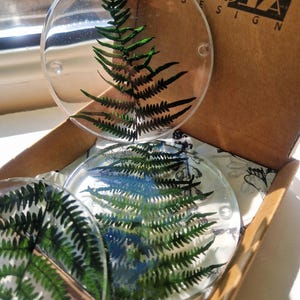 Resin Real Fern Botanical Coasters/Small/Large/Round Coaster/ Dark Green Fern/ Bracken/ Natural Greenery Table Accessory/Rustic Leaf Decor.