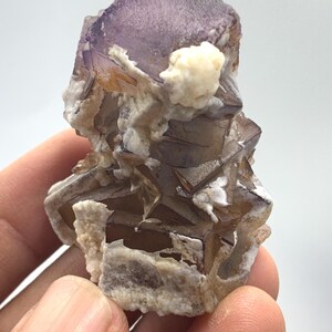 Può includere: Un grappolo di cristalli di fluorite cubici e traslucidi con tonalità viola scuro e marrone fumé. Il campione minerale presenta bordi geometrici netti ed è accentuato da piccoli depositi minerali bianchi opachi lungo le facce dei cristalli.