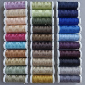 Può includere: Una collezione di 30 bobine di filo di vari colori, tra cui rosa, verde, marrone, blu e grigio. Le bobine sono disposte in tre file da dieci.