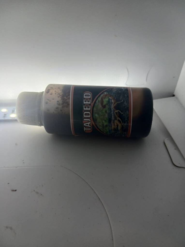 Scorpion Drink Kayamata/ Women Etsy