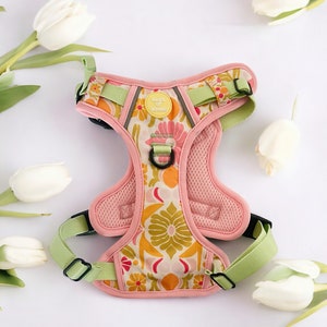 Flower Dog Harness | Girl Dog Harness | Adjustable Dog Harnesses- XS-XL | No Pull Dog Harness | Puppy Harness | Dog Accessories|
