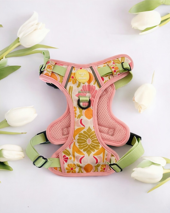 Flower Dog Harness | Girl Dog Harness | Adjustable Dog Harnesses- XS-XL | No Pull Dog Harness | Puppy Harness | Dog Accessories|