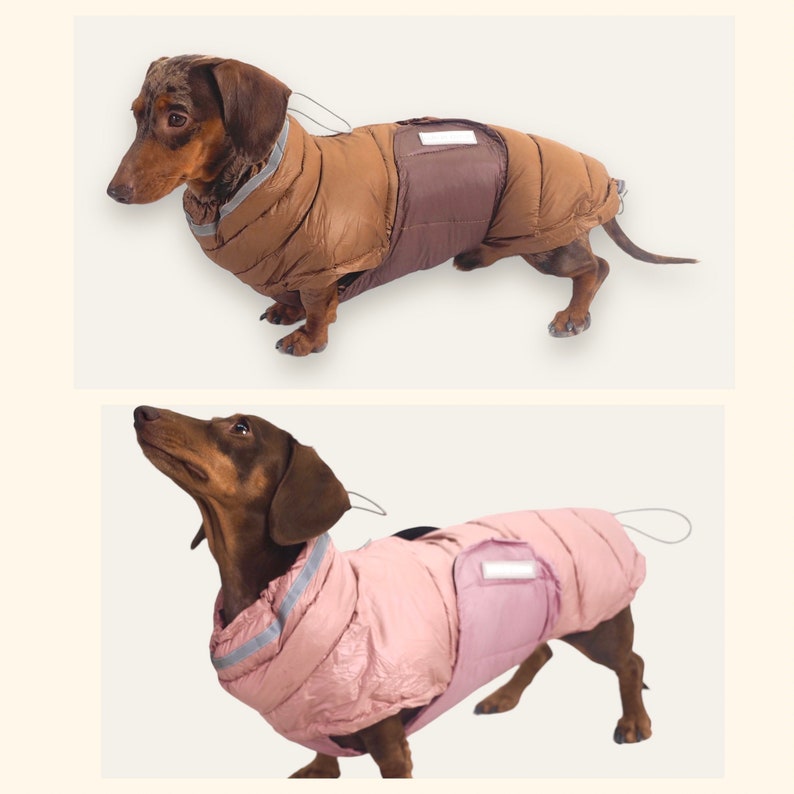 Two Toned Puffer Gilet Winter Dog Coat Gilet Dog coat Dachshund Dog Coat Warm Puffer Dog Coat XS-XL Dog Coat Puppy Dog Coat image 2