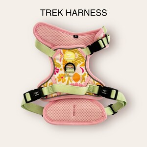 May include: Pink and green dog harness with a floral pattern and the text "Days of Hound" on the front.