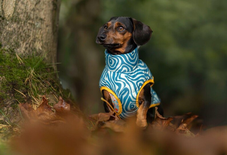 Funky Zip Puffer Gilet Winter Dog Coat Gilet Dog Coat Dachshund Dog