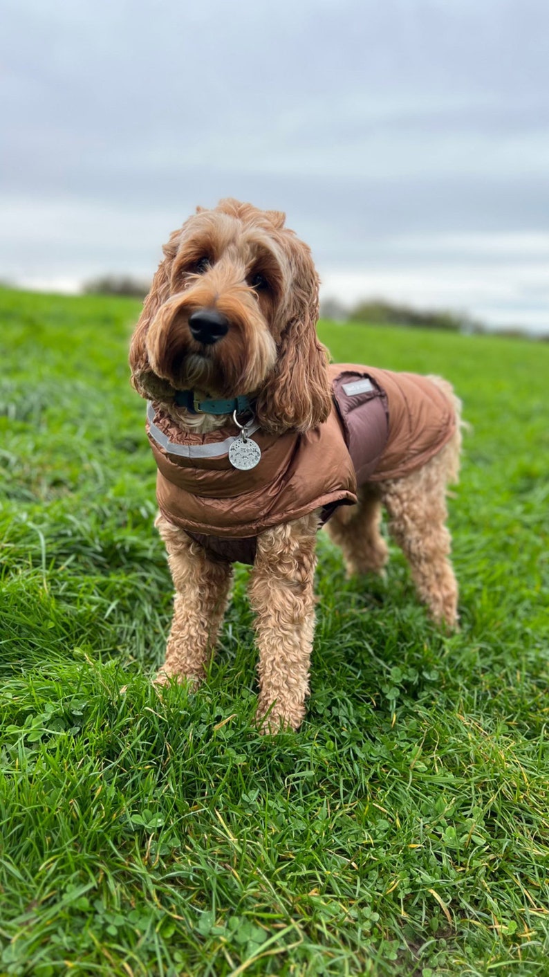 Veste sans manches bicolore Manteau d'hiver pour chien Manteau pour chien Manteau pour chien teckel Manteau matelassé chaud pour chien Manteau pour chien TP-TG Manteau pour chiot image 8