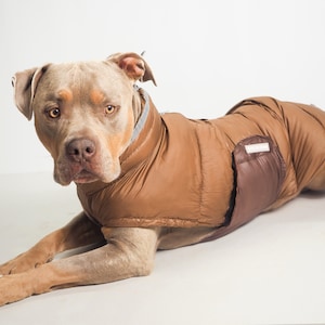 Veste sans manches bicolore Manteau d'hiver pour chien Manteau pour chien Manteau pour chien teckel Manteau matelassé chaud pour chien Manteau pour chien TP-TG Manteau pour chiot image 7