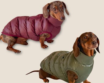 Gilet invernale imbottito con cerniera / Cappotto invernale per cani / Cappotto gilet per cani / Cappotto per cani bassotto / Cappotto caldo imbottito per cani / Cappotto con cerniera per cani / Cappotto per cuccioli