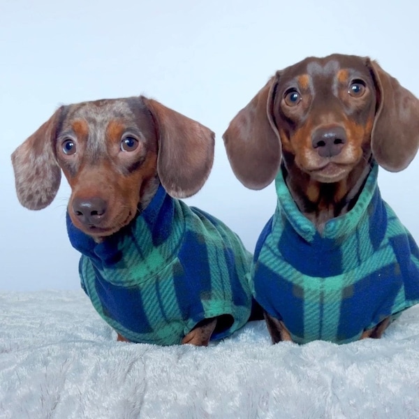 Jersey de perro de vellón de tartán / suéter de perro / jersey de perro de peluche / vellón Dachshund / jersey de perro / jersey de perro acogedor
