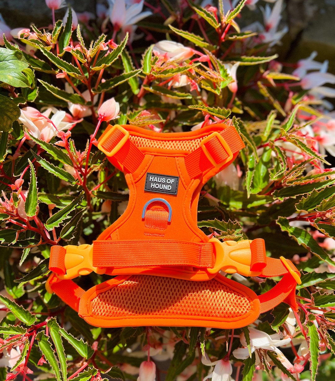 Orange Dog Harness Bright Dog Harness Adjustable Dog Etsy