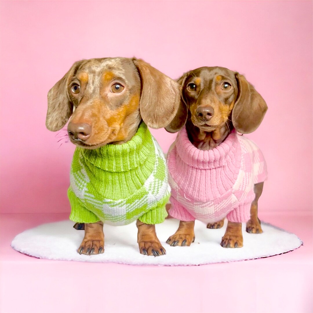 Stylish Dog Jumper Jumper for Dog Knit Dog Jumper Dachshund Jumper Cute