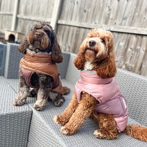 Two Toned Puffer Gilet Winter Dog Coat Gilet Dog coat Dachshund Dog Coat Warm Puffer Dog Coat XS-XL Dog Coat Puppy Dog Coat image 9