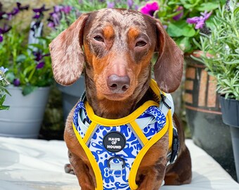 Summer Dog Harness | Pattern Dog Harness | Adjustable Dog Harnesses- XS-XL | No Pull Dog Harness | Puppy Harness | Dog Accessories|