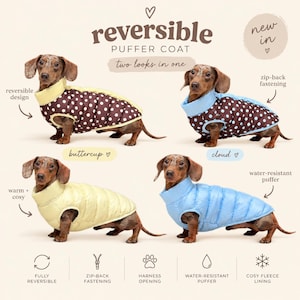 Peut inclure: Un manteau puffer réversible pour chien présenté en quatre variantes sur des teckels. Le manteau dispose d'une fermeture éclair au dos, d'une ouverture pour harnais et d'une doublure en polaire. Couleurs : marron à pois blancs, jaune bouton d'or et bleu ciel.