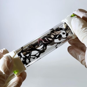 Venom Symbiote with Face/Head Lab Capsule Prop Vial (Spider-Man)