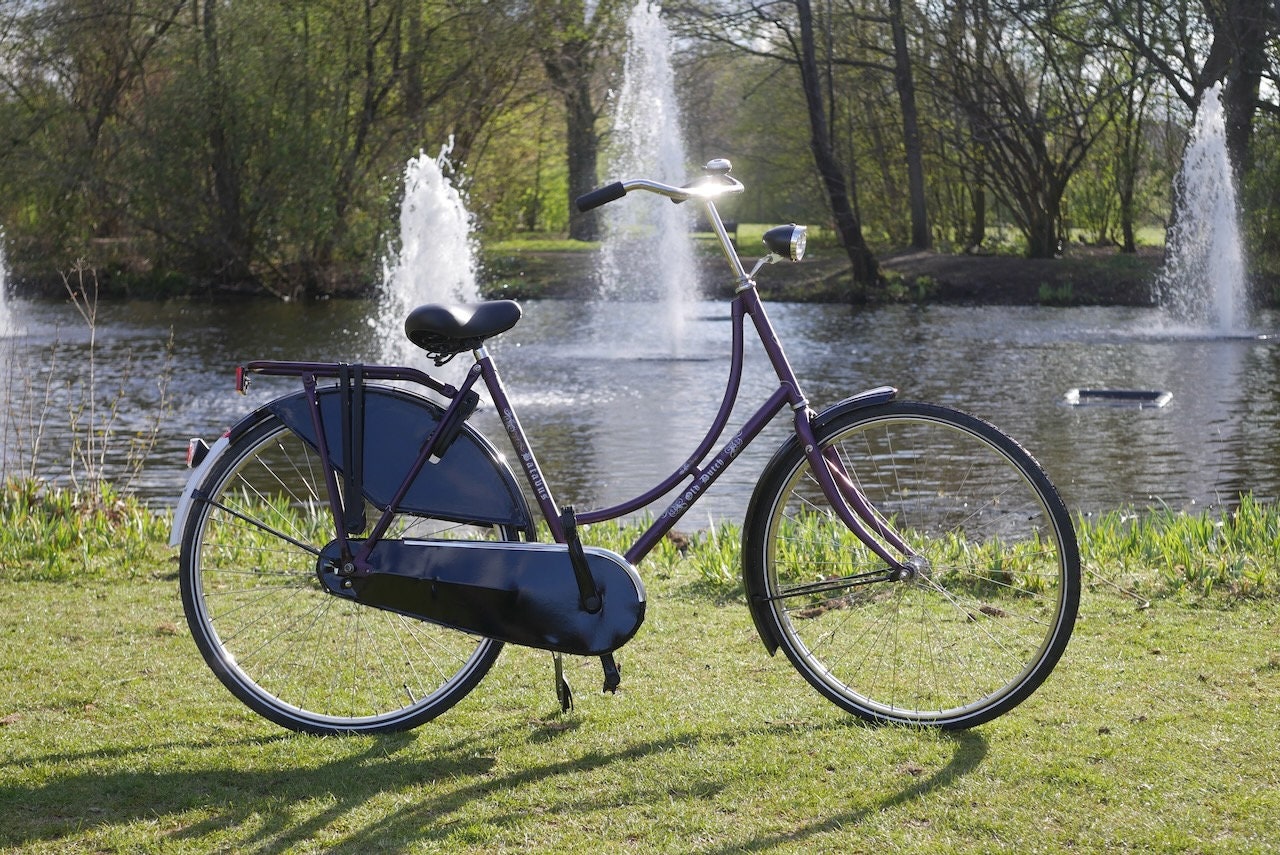 Batavus Old Dutch Purple 56cm Single-speed | Etsy