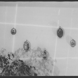 May include: A white wall with five black and white framed portraits of people hanging on it. The portraits are arranged in a random pattern. A green plant is in the bottom left corner of the image.