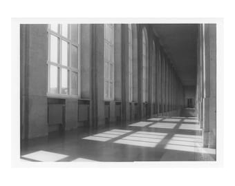 Impression argentique à la gélatine noir et blanc sur papier RC brillant //Munich Pinakothek // Photographie analogique