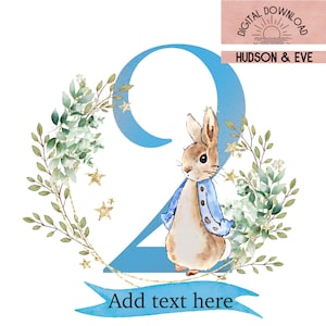 Clipart PeterRabbit 2nd Birthday.  PNG PeterRabbit 2nd Birthday. Clipart Peter Rabbit.PNG Peter rabbit instant download
