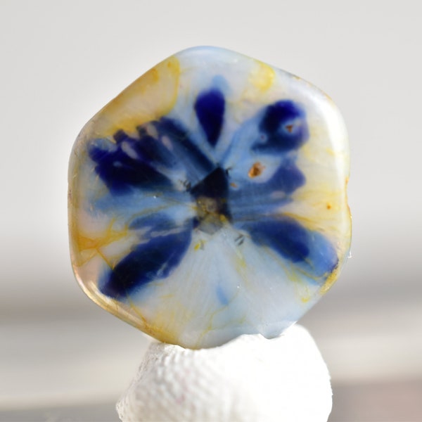 Stunning 4.4ct White Blue Trapiche Sapphire Corundum Specimen Crystal - Butterfly Effect