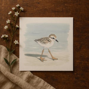 Mailed Prints | Piping Plover Watercolor Wall Art, Snowy Plovers Bird Print Set of 2, Coastal Kids Room Decor, Beach House Artwork image 3