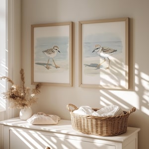 Mailed Prints | Piping Plover Watercolor Wall Art, Snowy Plovers Bird Print Set of 2, Coastal Kids Room Decor, Beach House Artwork image 1